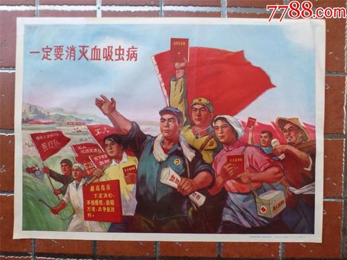 图尔大学 Market Development Diploma